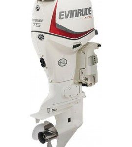 2020 EVINRUDE 75 HP – E75DSL