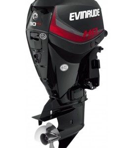 2020 EVINRUDE 90 H.O. – E90HGL