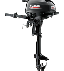 SUZS.AI MARINE DF2.5S