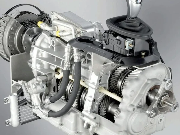 FWD V6 (M)